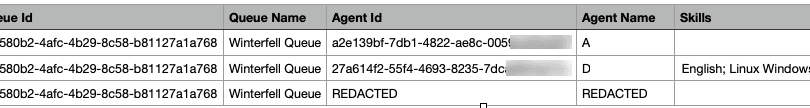 Click to enlarge. Queues Activity Detail view report